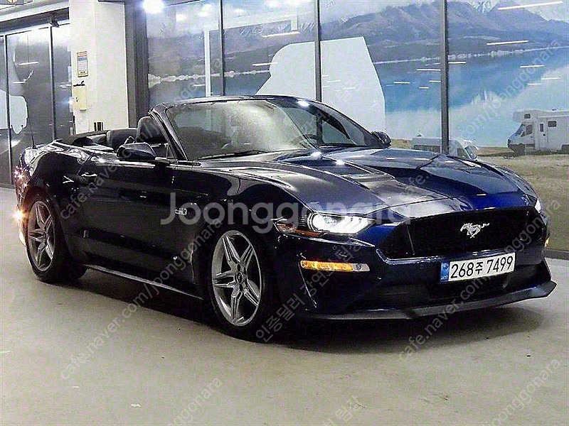 포드 머스탱 중고 머스탱 중고차 파란색 2019년식 5...--7
