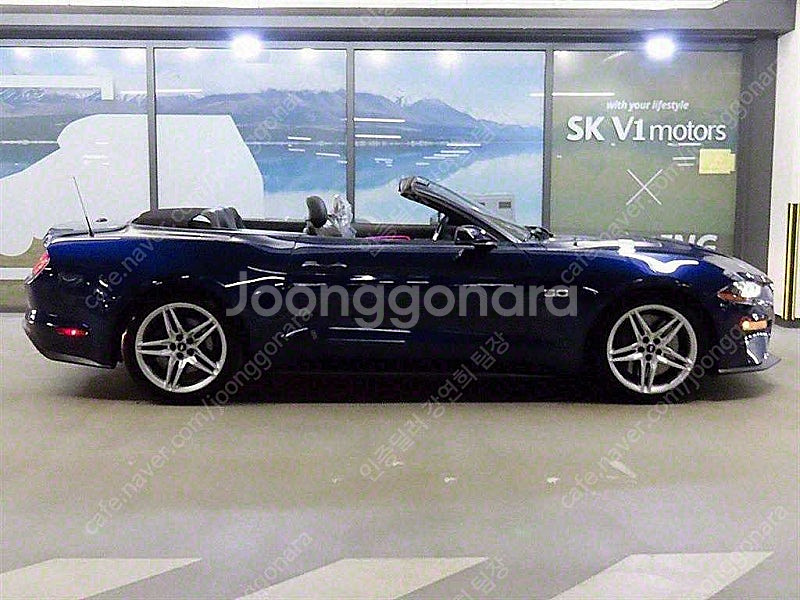 포드 머스탱 중고 머스탱 중고차 파란색 2019년식 5...--9