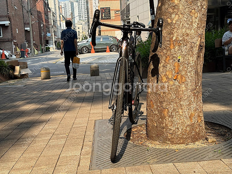 스페셜라이즈드 알레스프린트 54 피터사간 울테그라 팝니...--1