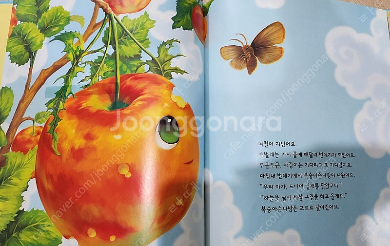 택포)교원 조물조물 자연놀이--1