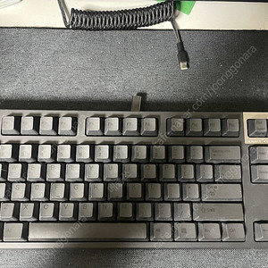 리얼포스 R2TL 55g 균등 C타입 개조