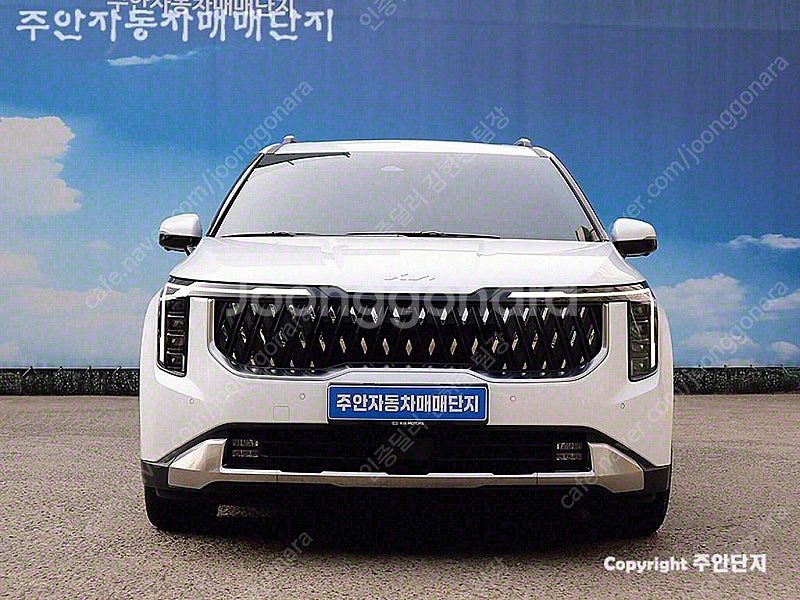 기아 더뉴 카니발 중고 가격 중고 카니발 흰색 2024...--0