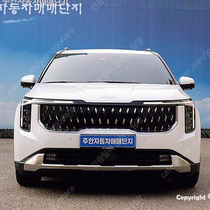 기아 더뉴 카니발 중고 가격 중고 카니발 흰색 2024년식 37,038km HEV 9인승 시그니처 중고차 시세조회