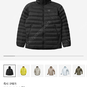 아크테릭스 세륨 후디 블랙 L