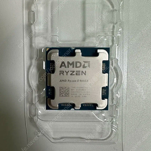 라이젠 9600x