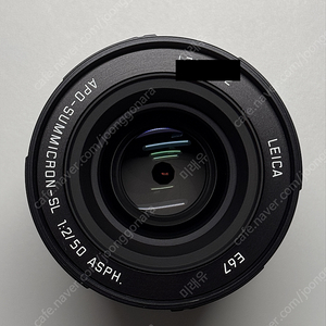 LEICA SL APO Summicron 50mm F/2 판매 (라이카 SL 아포 주미크론 50mm)
