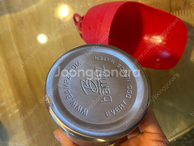 콩 토이 물병 강아지물병--1