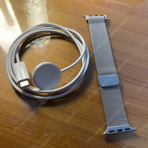 애플워치 C타입 충전기 + 디지지 밀레니즈루프 40/41mm