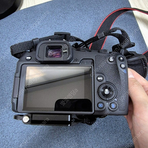 캐논 R8+ RF 28-70mm F2.8 IS STM