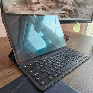 갤럭시탭 S8 플러스 256기가 LTE