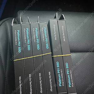 SK하이닉스 Platinum P51 NVMe SSD PCIe5.0 1TB 6개 판매합니다