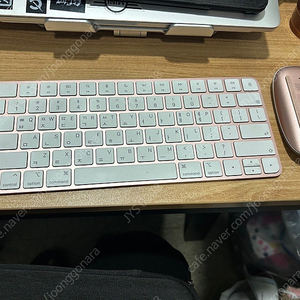 애플 매직 키보드 마우스2 핑크