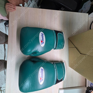 위닝 글러브 커스텀(그린) 12oz 팝니다
