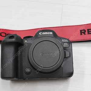 캐논 R6 MARK2​ ,RF 24-70 (알계륵) , 35mm F1.4 VCM , 24-105L , 24-105STM ,RF 16mm F2.8 STM , RF 28mm F2.8