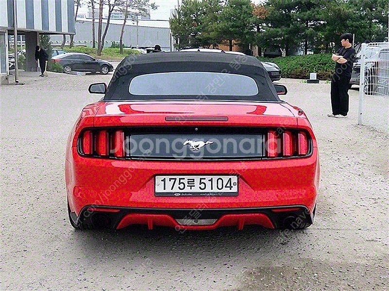 포드 머스탱 중고 머스탱 중고차 2015년식 컨버터블 ...--5