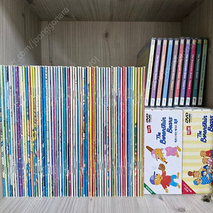 베렌스타인베어스