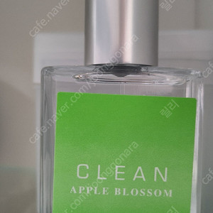 클린 애플블라썸 30ml 향수
