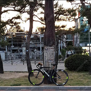 콘스탄틴 픽시 자전거