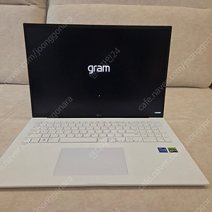 LG 그램 17ZD90R‑EX79K / 1TB / 상태최상 판매합니다.