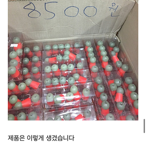 쭈꾸미에자 350개 오징어 낚시 문어