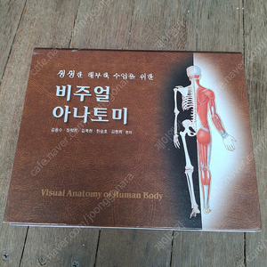 비주얼 아나토미