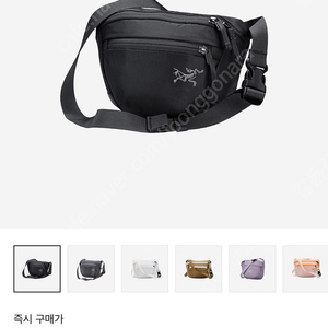 아크테릭스 맨티스 2 웨이스트팩 블랙