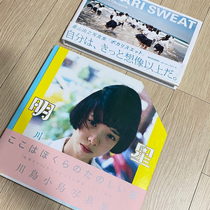 일본 사진집 2권 일괄