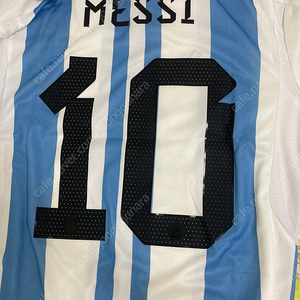 아르헨티나 월드컵 우승저지 메시 100