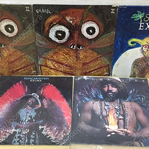 LP ; exuma 익수마 엘피 음반 5장 판매 싸이키델릭 명반 엘피 psychedelic