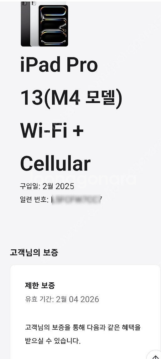 아이패드 프로13 M4 256기가 스페이스블랙 자급제 ...--8