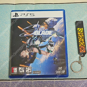 PS5 스텔라블레이드 + 특전 USB