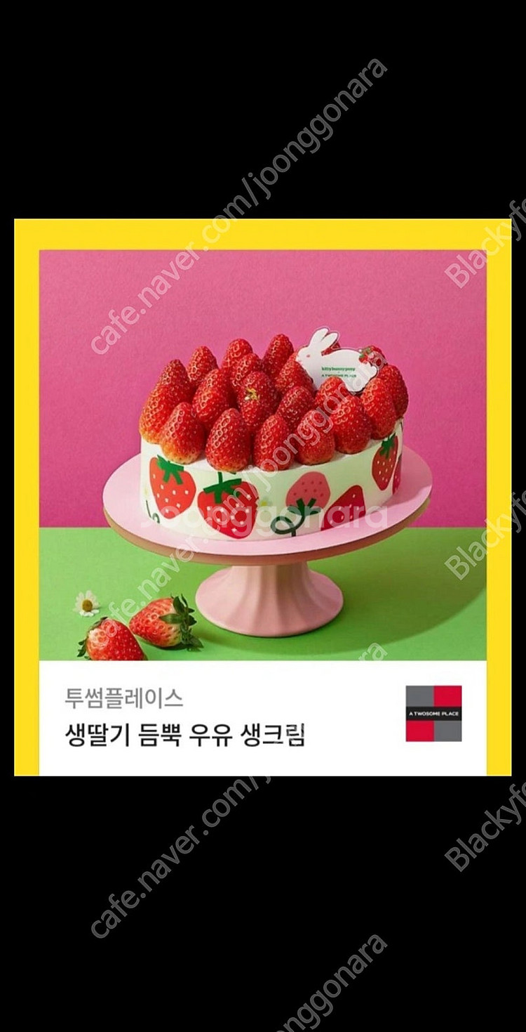 투썸플레이스 생딸기 듬뿍 우유 생크림(39000) 32...--0