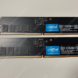 마이크론 Crucial DDR5 PC5-44800 CL46 (16gb*2)
