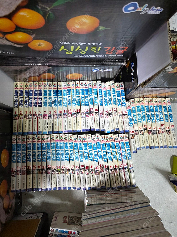 공태랑나가신다--0