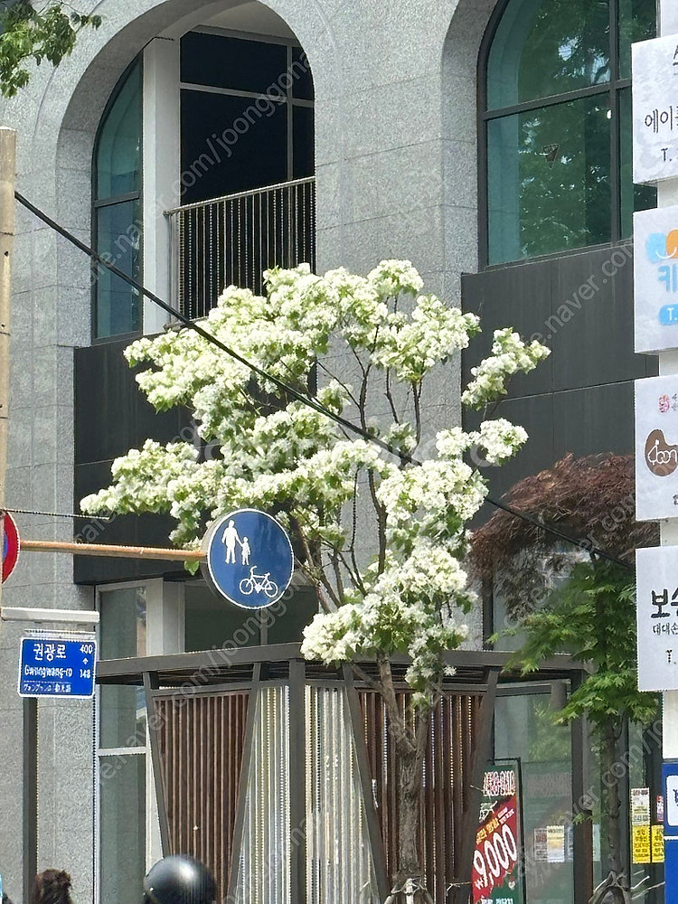태국 바트 판매합니다--0