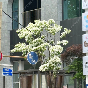 태국 바트 판매합니다