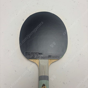 보르카 fe zlc 이너포스 + 라잔터 r50 2.0