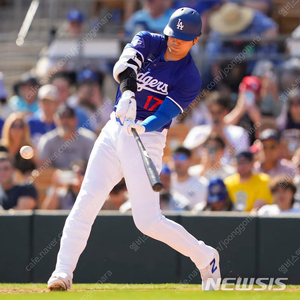 나이키 베이퍼 리미티드 MLB LA 다저스 오타니 얼트 로얄 xl