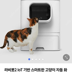 라비봇 2 판매합니다.