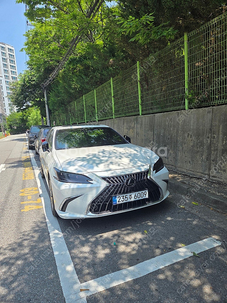 렉서스 ES300h 25년형--0