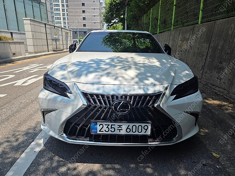 렉서스 ES300h 25년형--1