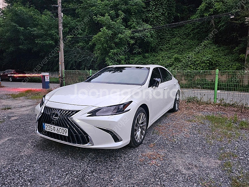 렉서스 ES300h 25년형--9