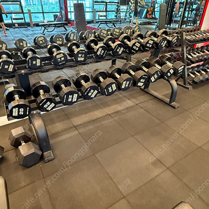 해머스트렝스 덤벨+덤벨렉 (5-40kg)세트 팝니다