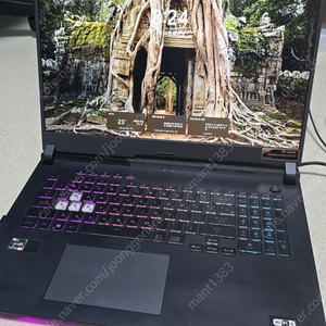 ASUS ROG STRIX G713QM-HX185 RTX3060 게이밍노트북