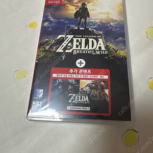 닌텐도 스위치 젤다의전성 야생의숨결 DLC