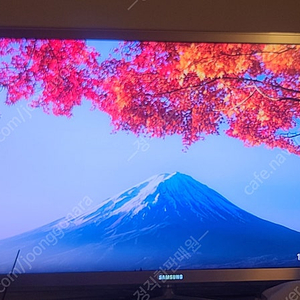롯데시네마 영화 1인