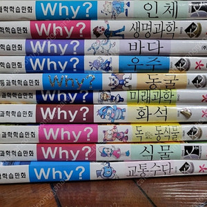Why 만화책 10권