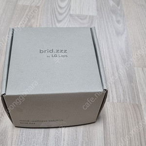 브리즈 brid.zzz SLDHF1 숙면 지원 블루투스 이어폰
