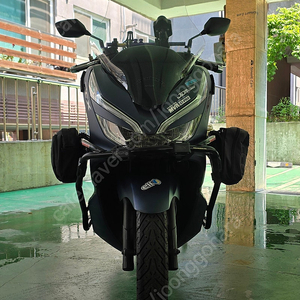 2019년식 pcx 팝니다