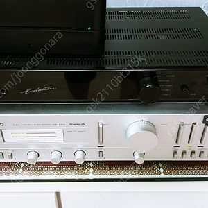 Aura AUV-100 오라인티